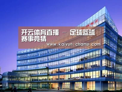 案例展示五