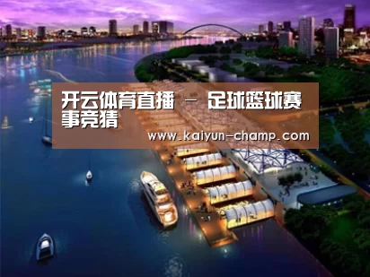 案例展示八
