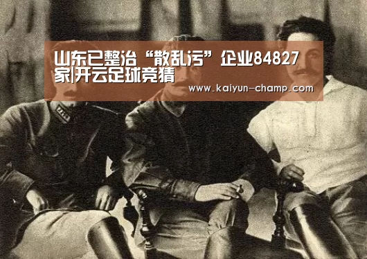 山东已整治“散乱污”企业84827家|开云足球竞猜(图2) 开云电竞赛事