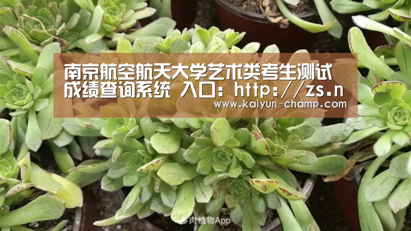 南京航空航天大学艺术类考生测试成绩查询系统 入口:http://zs.nuaa.edu.cn/yscf/:开云体育直播(图1) 开云官网