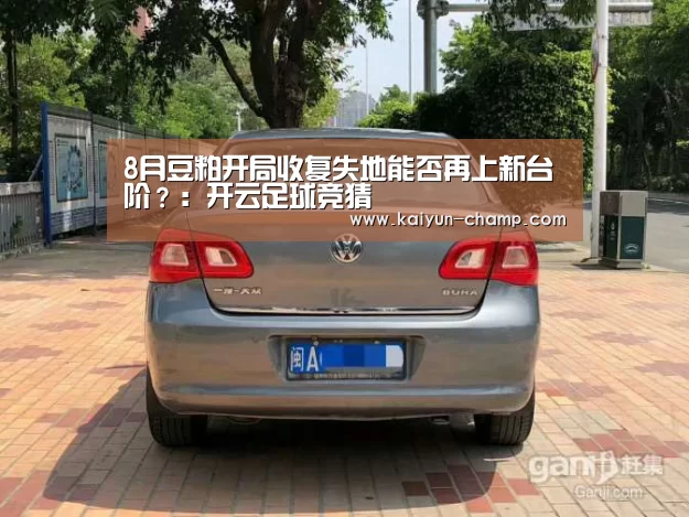 8月豆粕开局收复失地能否再上新台阶?:开云足球竞猜(图2) 开云体育直播