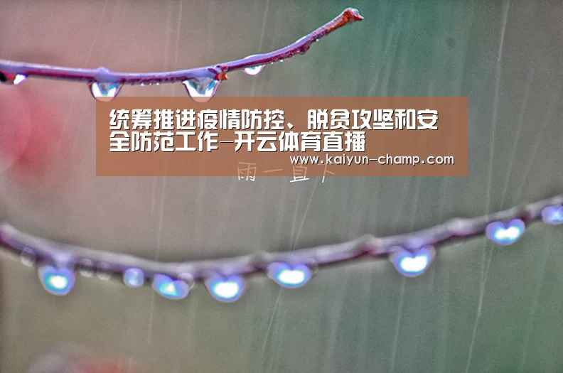 开云体育直播