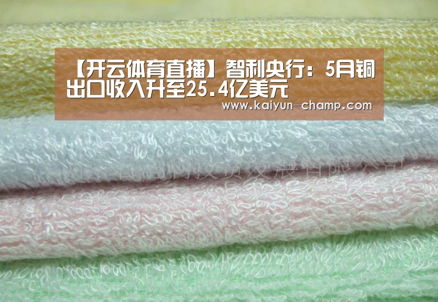 【开云体育直播】智利央行:5月铜出口收入升至25.4亿美元(图2) 开云官网