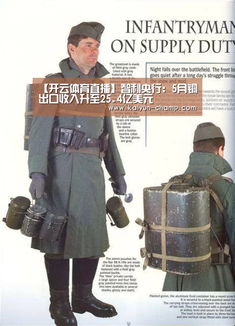 【开云体育直播】智利央行:5月铜出口收入升至25.4亿美元(图3) 开云官网