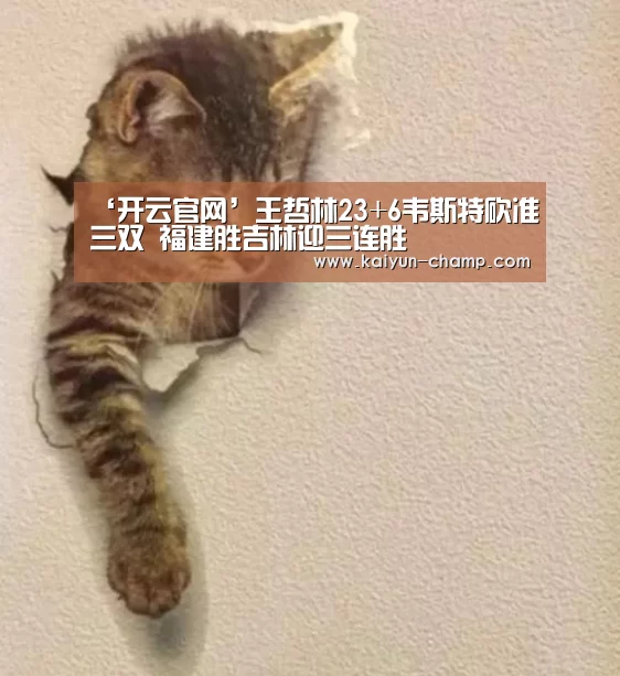 ‘开云官网’王哲林23+6韦斯特砍准三双 福建胜吉林迎三连胜(图3) 开云官网