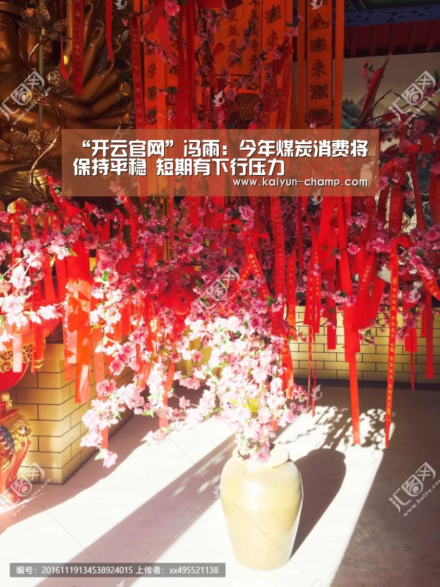 “开云官网”冯雨:今年煤炭消费将保持平稳 短期有下行压力(图1) 开云足球竞猜