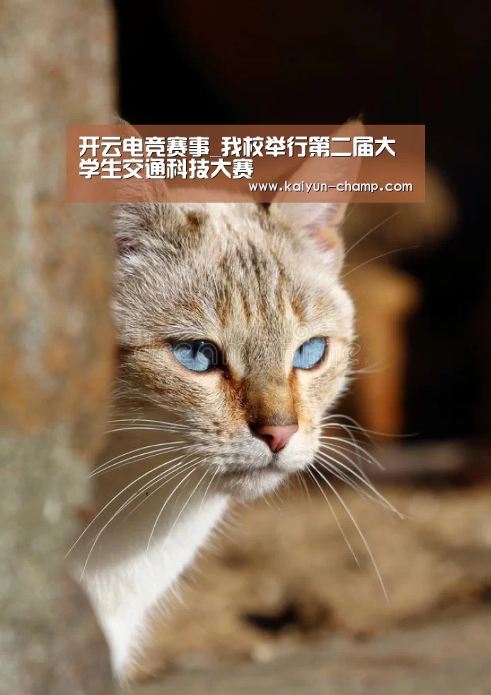 开云电竞赛事_我校举行第二届大学生交通科技大赛(图3) 开云体育直播