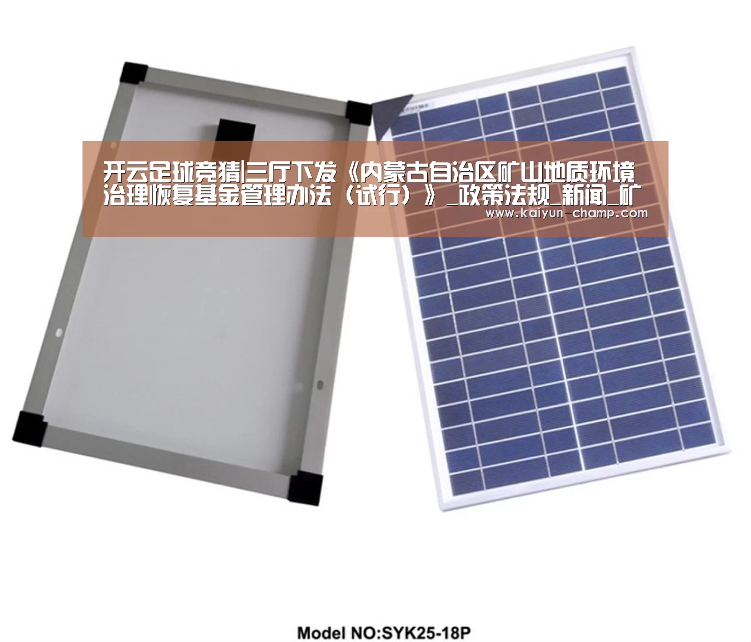 开云足球竞猜|三厅下发《内蒙古自治区矿山地质环境治理恢复基金管理办法(试行)》_政策法规_新闻_矿道网(图2) 开云体育直播